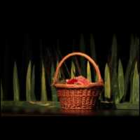 2009 Orpheus 001.JPG